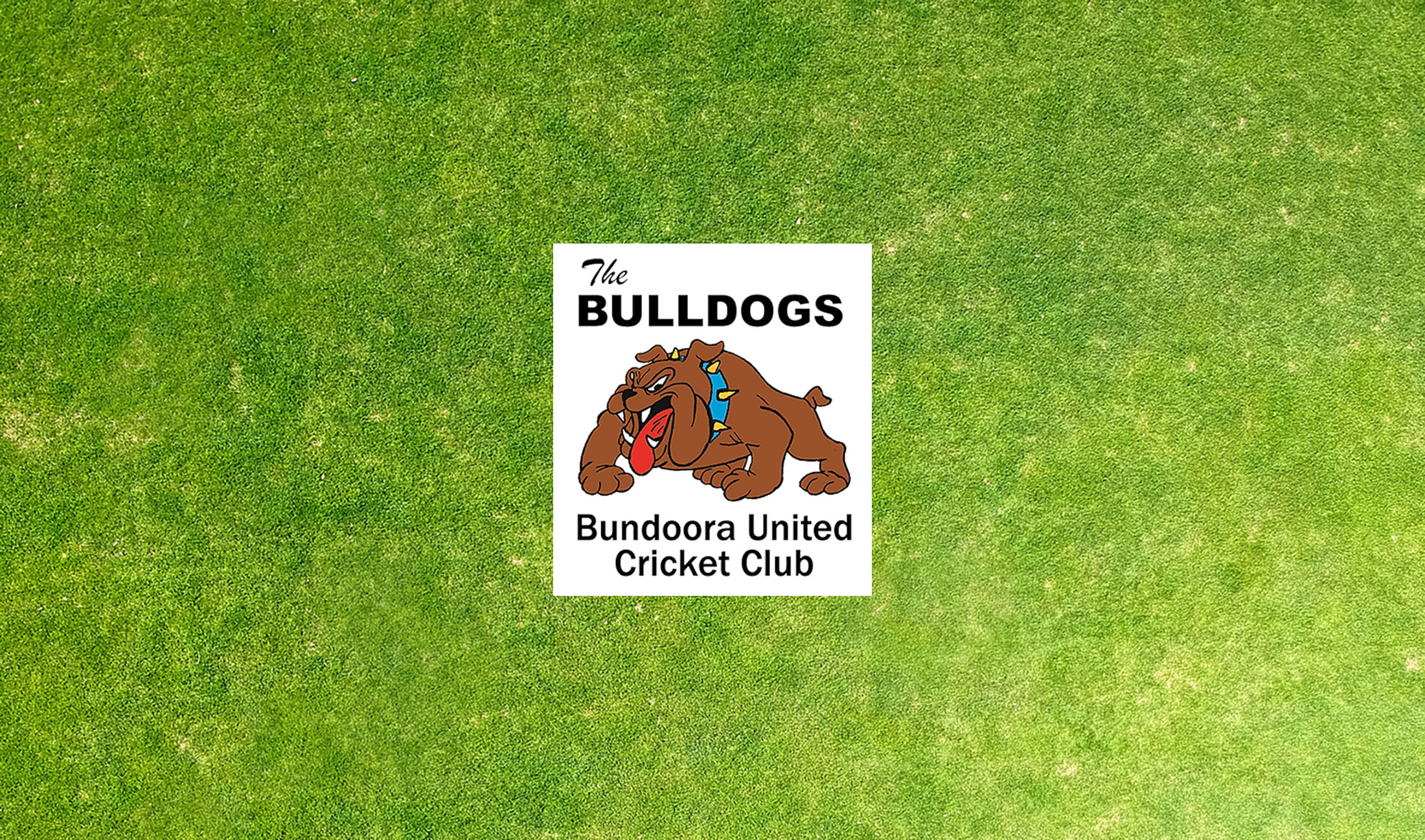 Bundoora United CC Seeking Senior Coach for 2023/24 Onwards