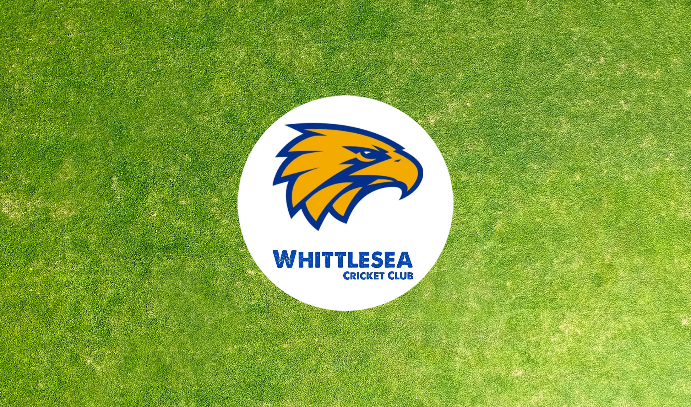 Whittlesea CC Seeking Senior Players for 2024-25 Season